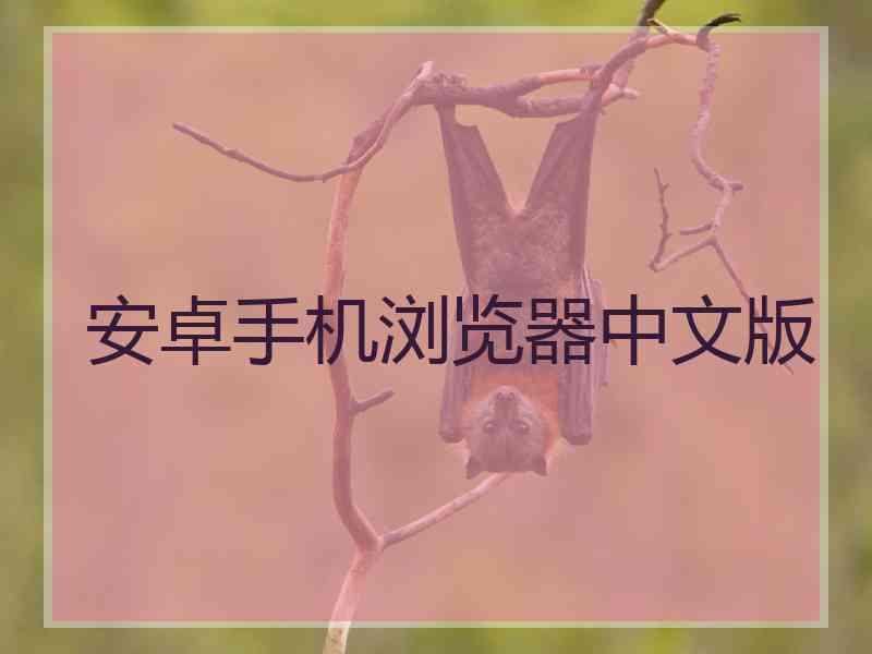 安卓手机浏览器中文版