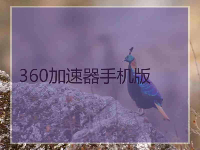 360加速器手机版