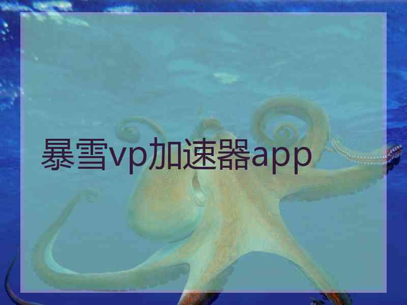 暴雪vp加速器app