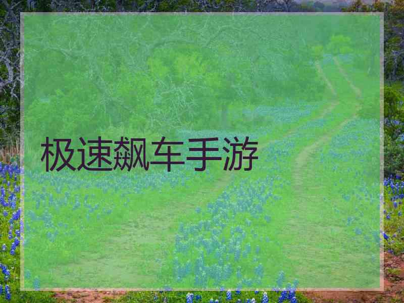 极速飙车手游