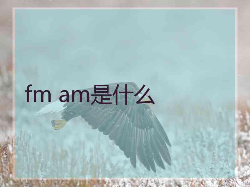 fm am是什么