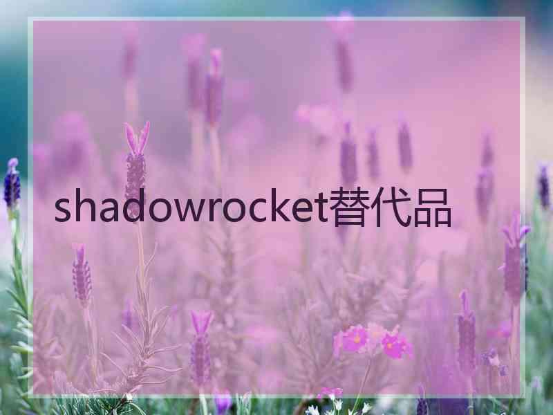 shadowrocket替代品