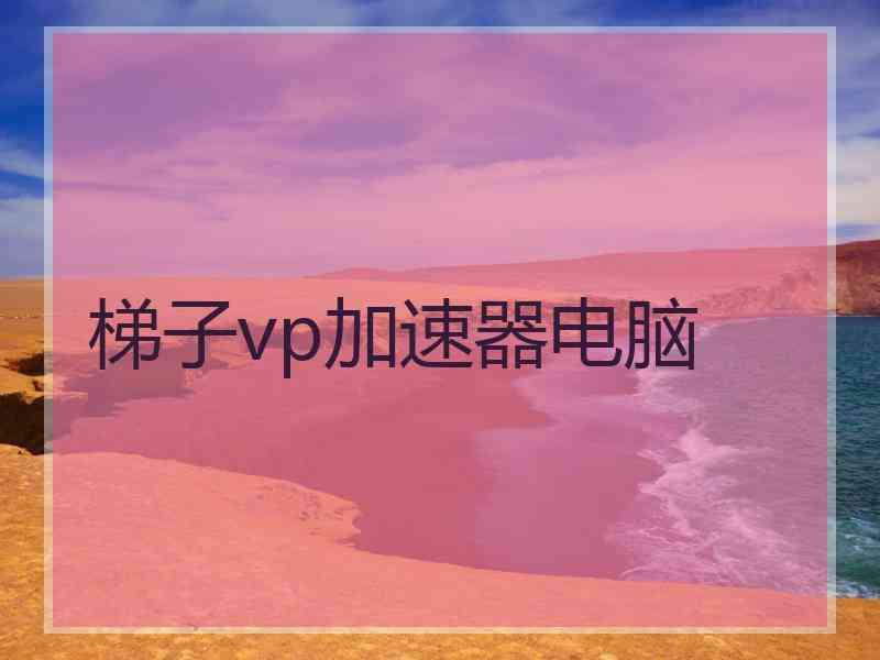 梯子vp加速器电脑