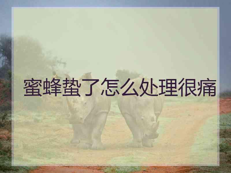 蜜蜂蛰了怎么处理很痛