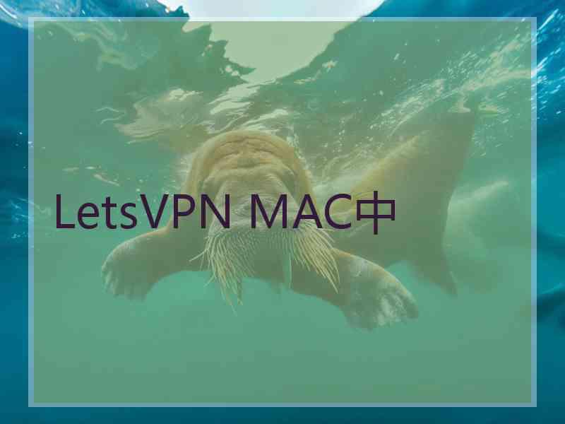 LetsVPN MAC中