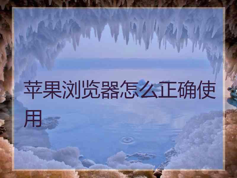 苹果浏览器怎么正确使用
