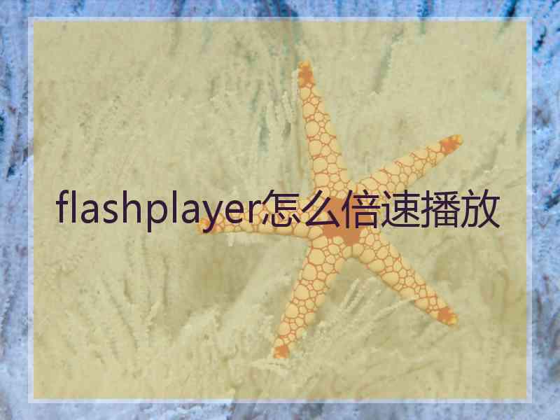 flashplayer怎么倍速播放