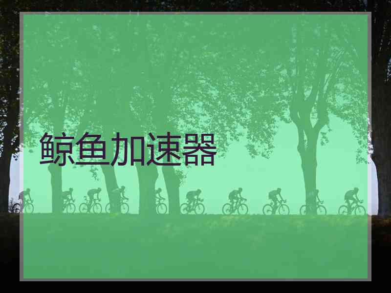 鲸鱼加速器