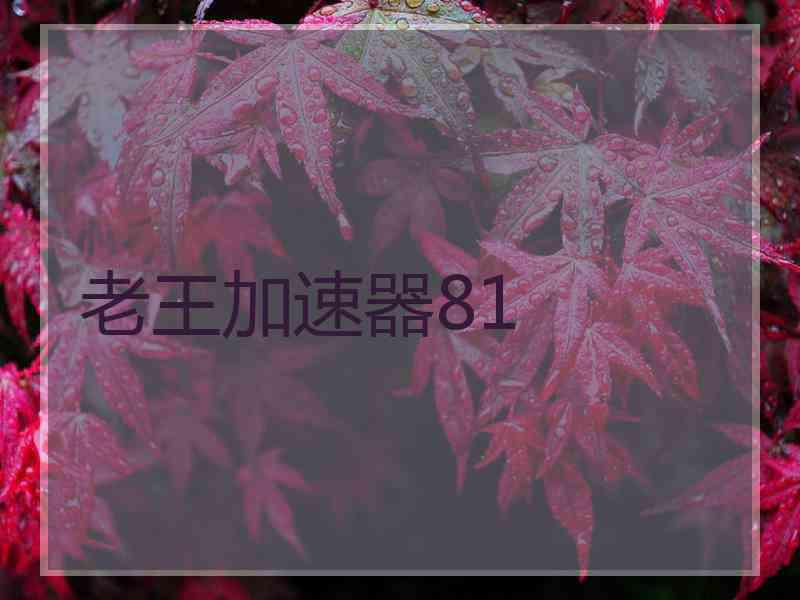 老王加速器81