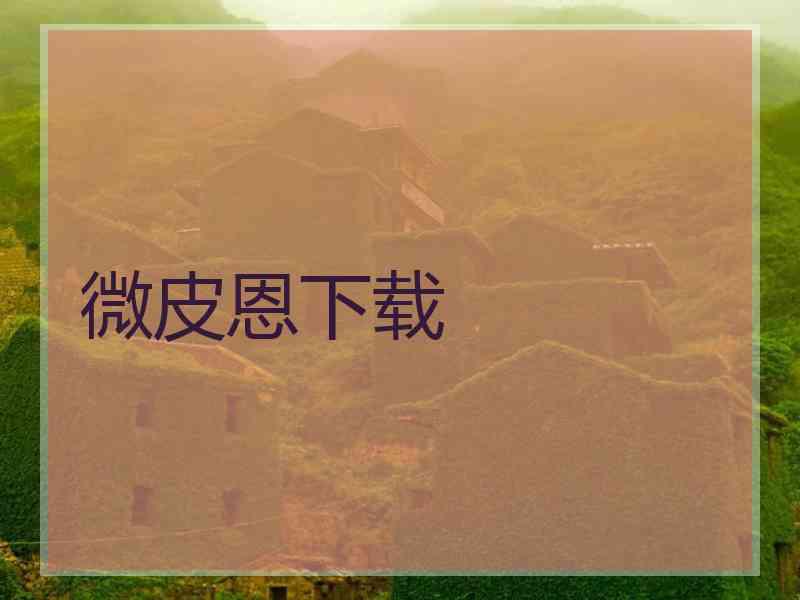 微皮恩下载
