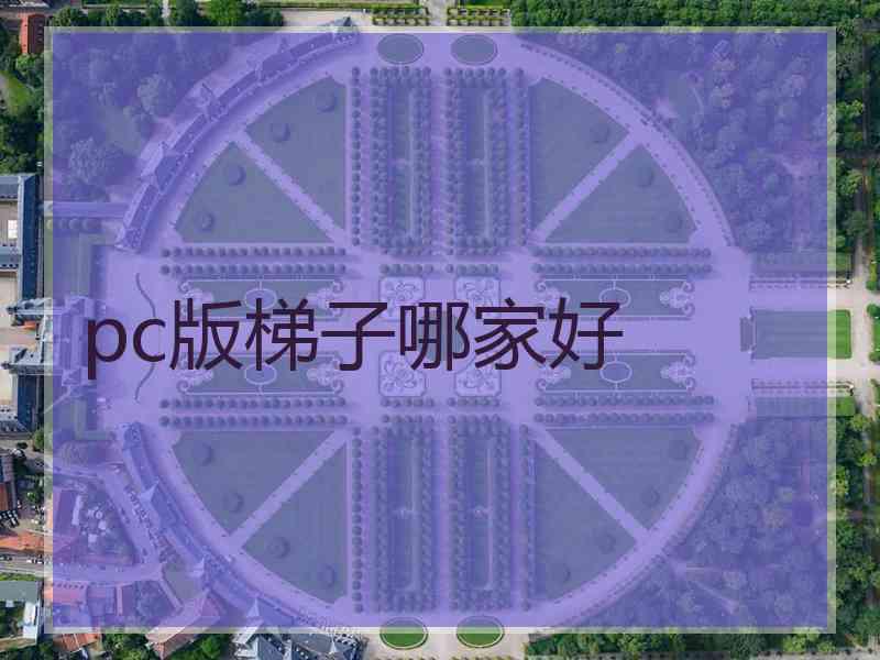 pc版梯子哪家好