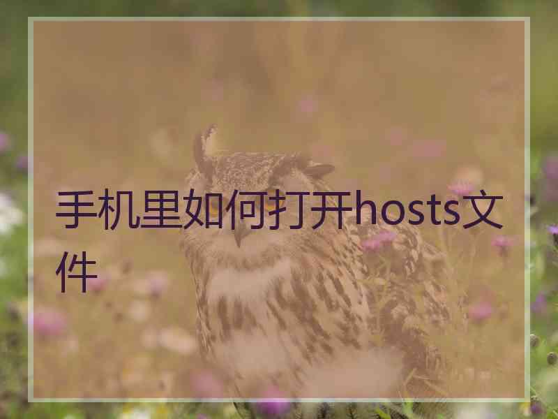 手机里如何打开hosts文件