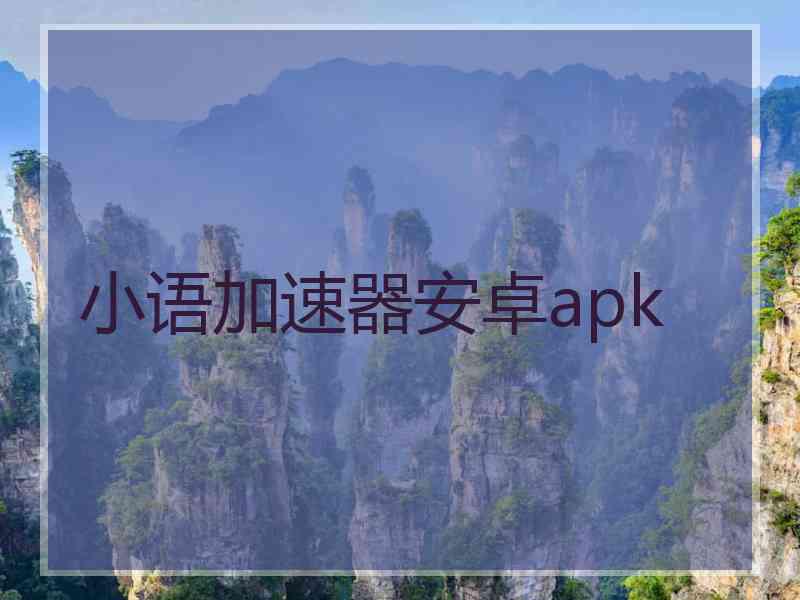 小语加速器安卓apk