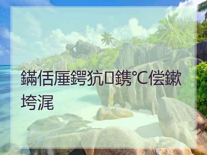 鏋佸厜鍔犺鎸℃偿鏉垮浘