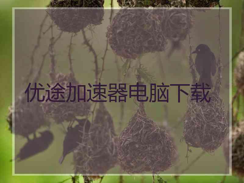 优途加速器电脑下载