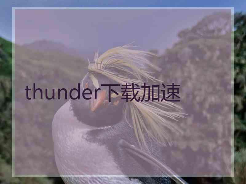 thunder下载加速