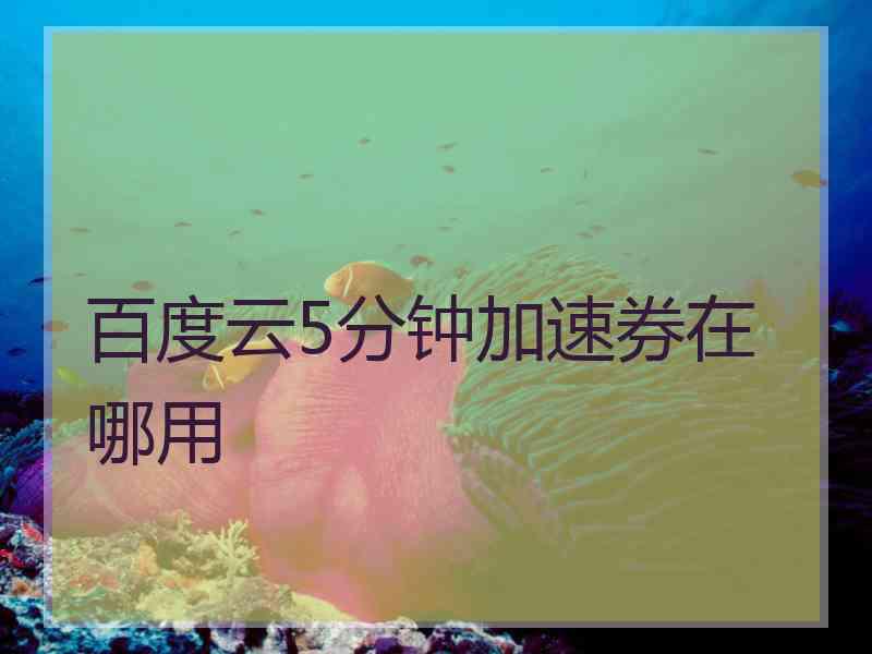 百度云5分钟加速券在哪用