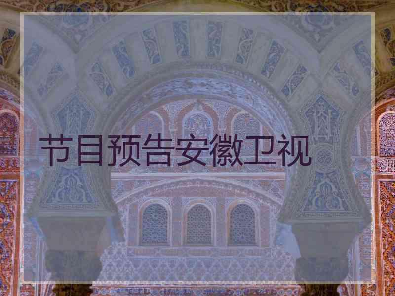 节目预告安徽卫视