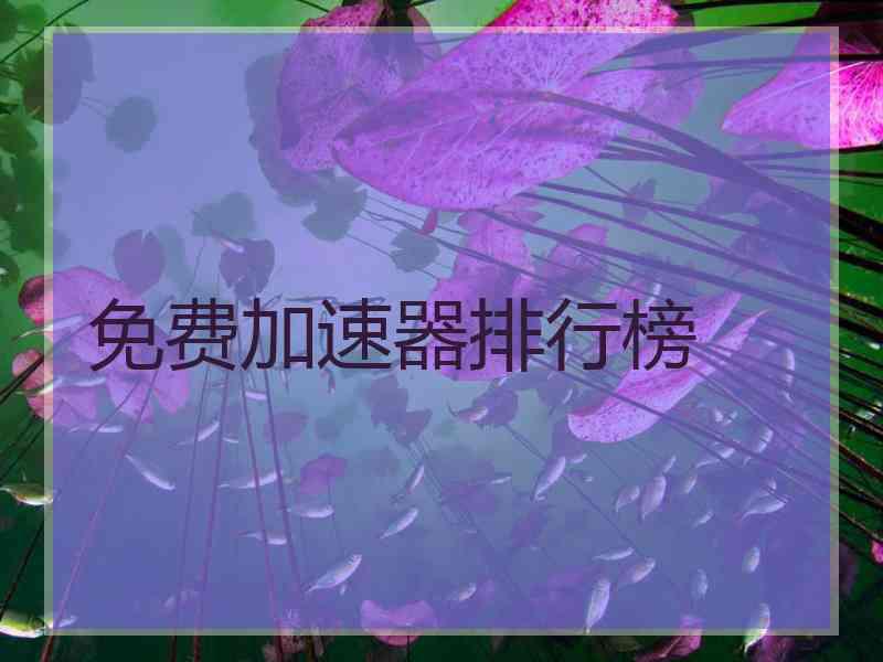 免费加速器排行榜