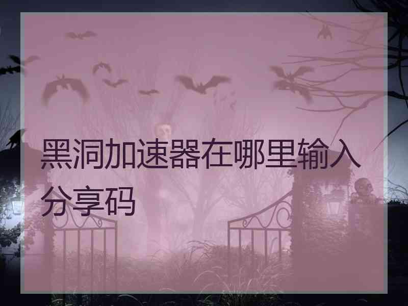 黑洞加速器在哪里输入分享码