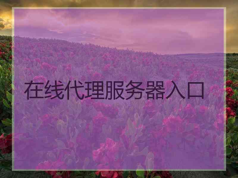 在线代理服务器入口