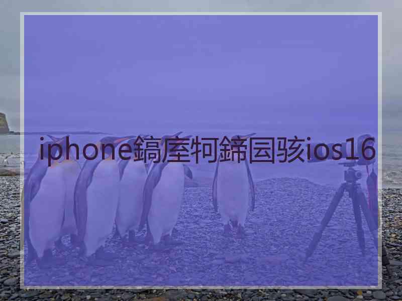 iphone鎬庢牱鍗囩骇ios16