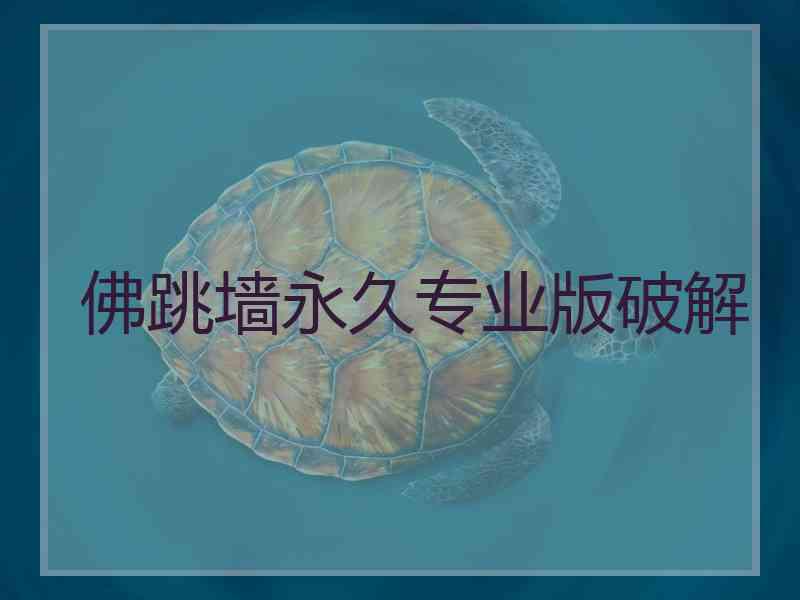 佛跳墙永久专业版破解