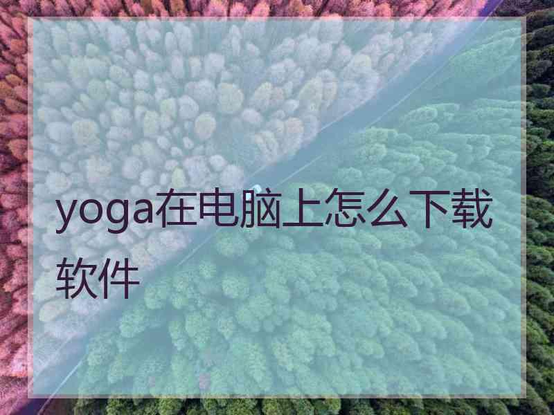 yoga在电脑上怎么下载软件