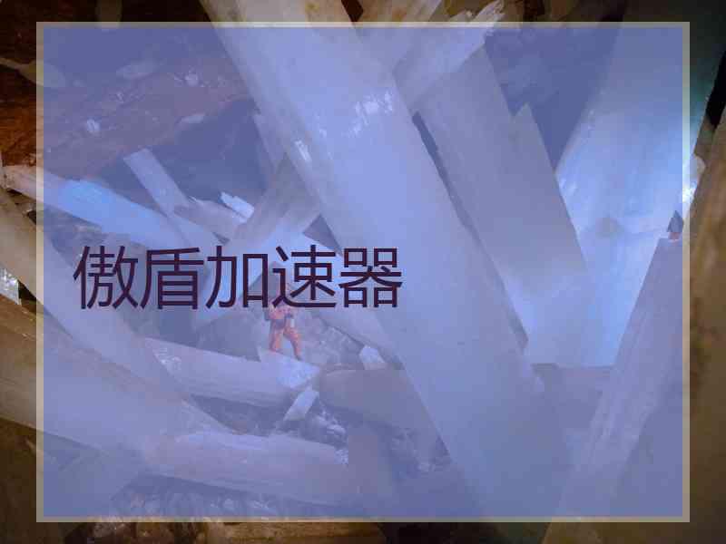 傲盾加速器