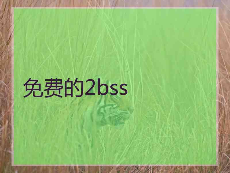 免费的2bss