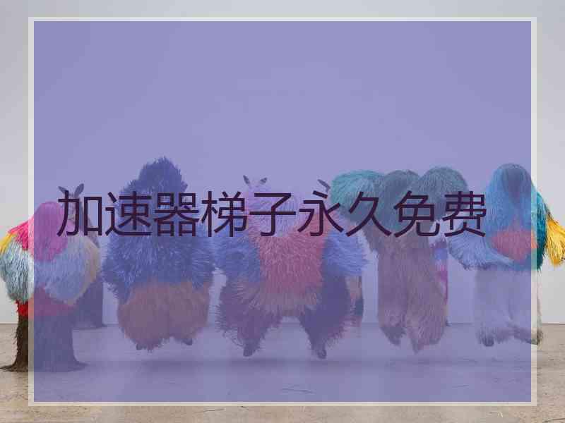 加速器梯子永久免费