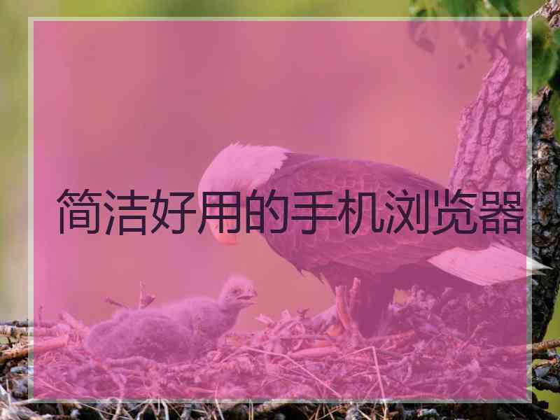 简洁好用的手机浏览器