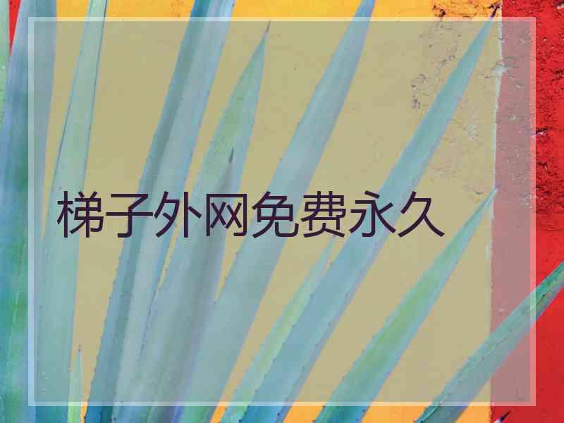 梯子外网免费永久