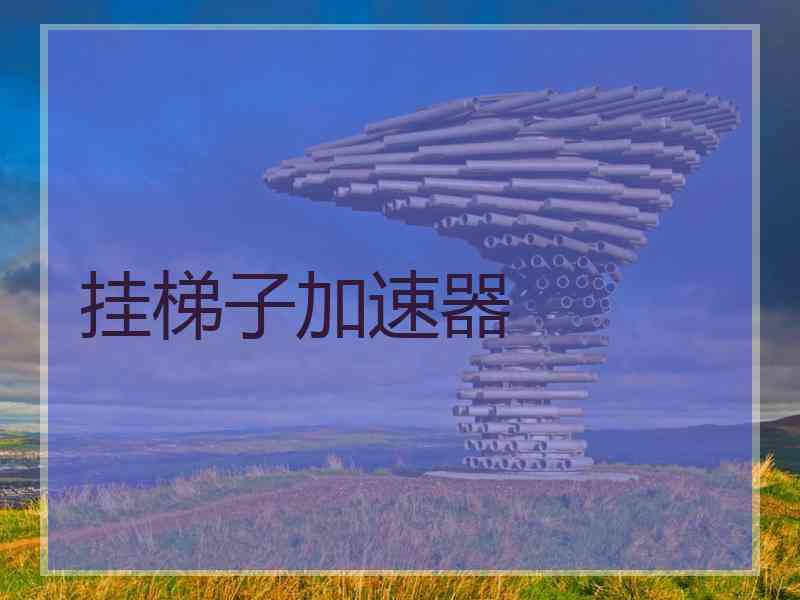 挂梯子加速器