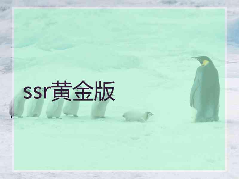 ssr黄金版