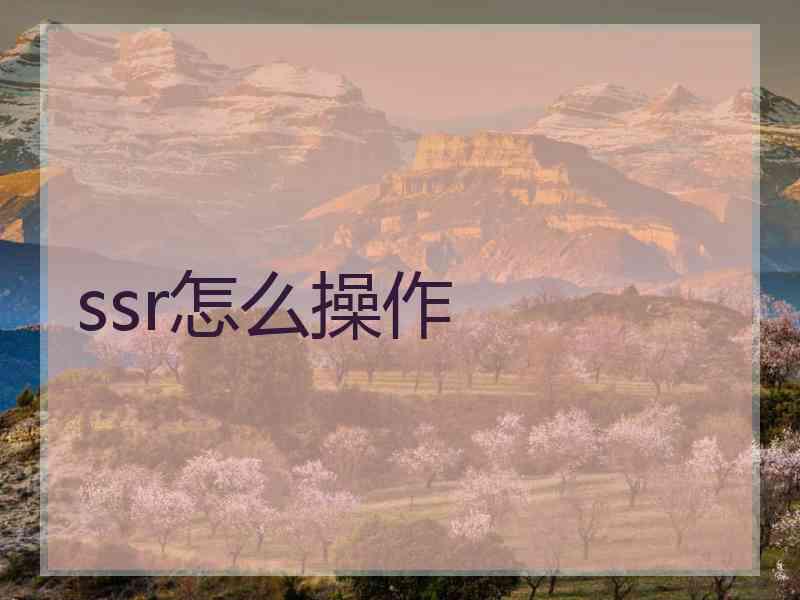 ssr怎么操作