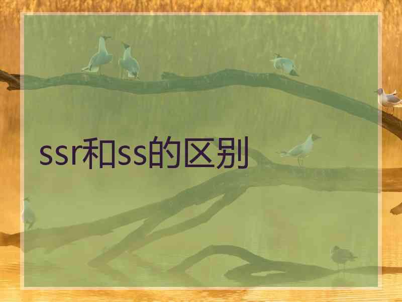 ssr和ss的区别
