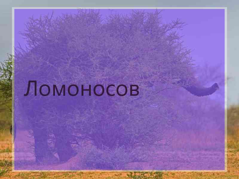 Ломоносов