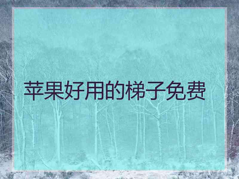 苹果好用的梯子免费