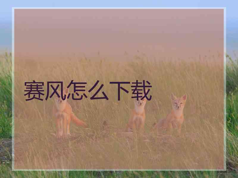 赛风怎么下载