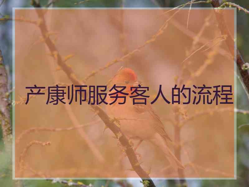 产康师服务客人的流程