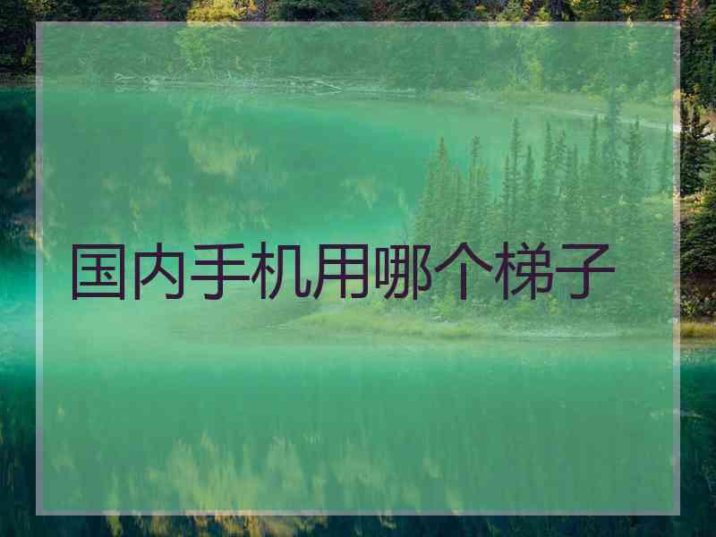 国内手机用哪个梯子