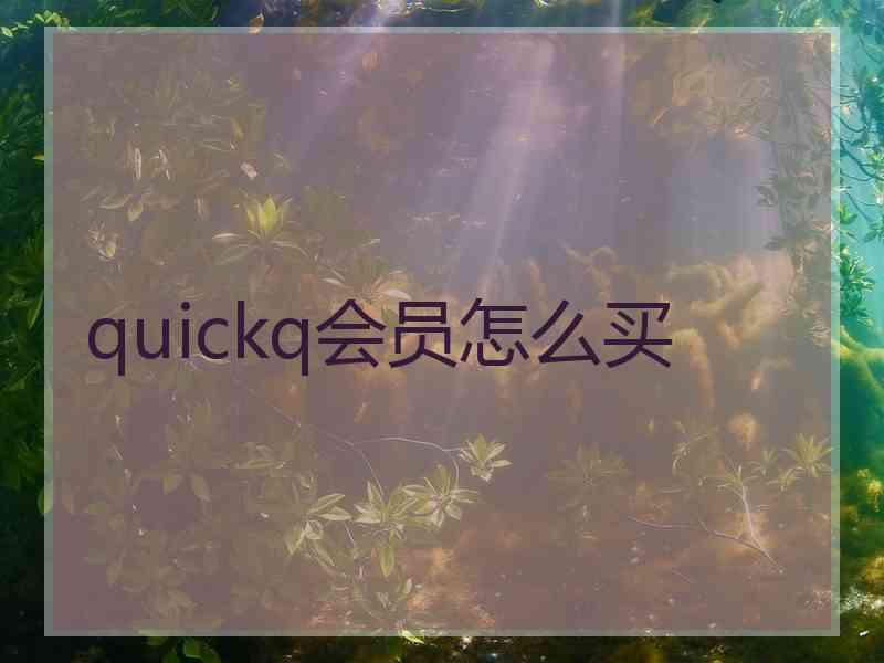 quickq会员怎么买