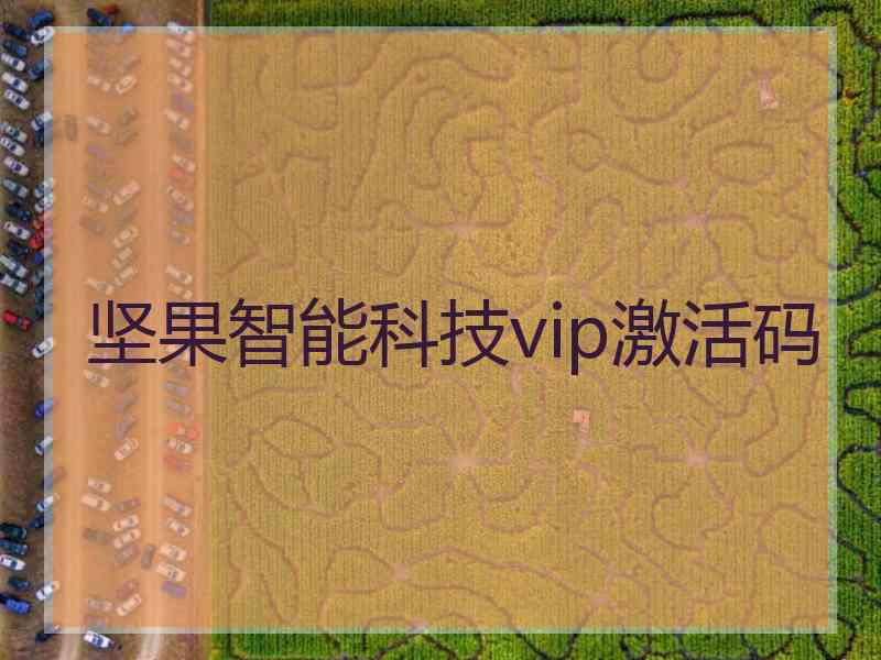 坚果智能科技vip激活码
