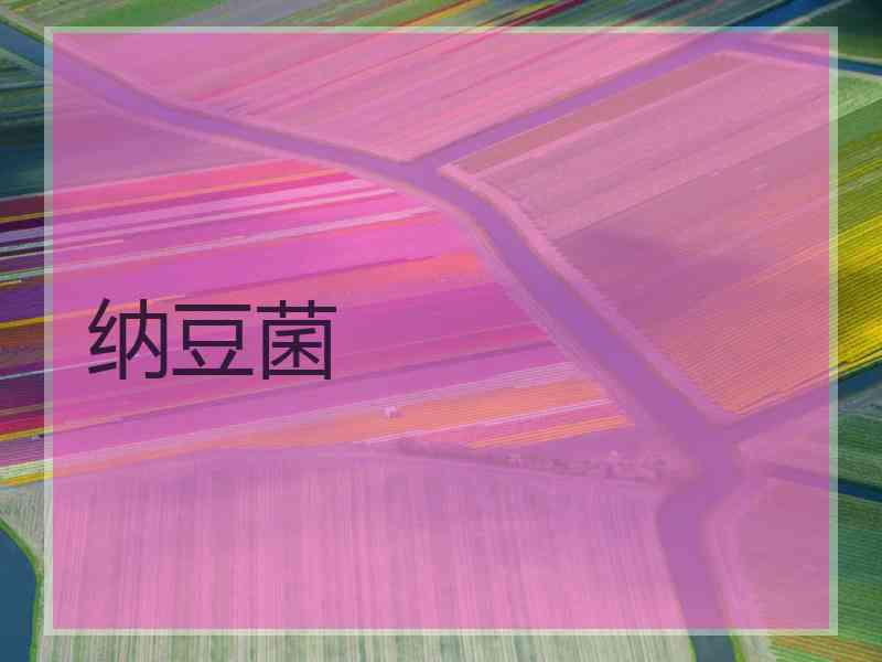 纳豆菌