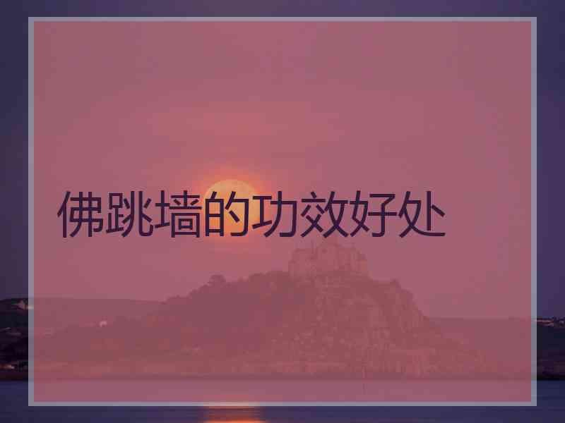 佛跳墙的功效好处