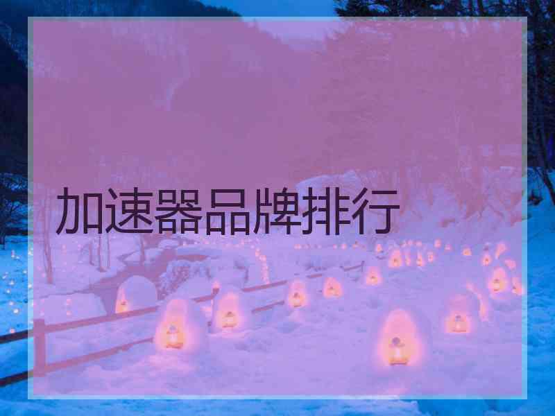 加速器品牌排行
