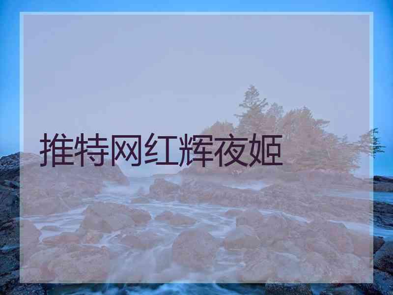 推特网红辉夜姬