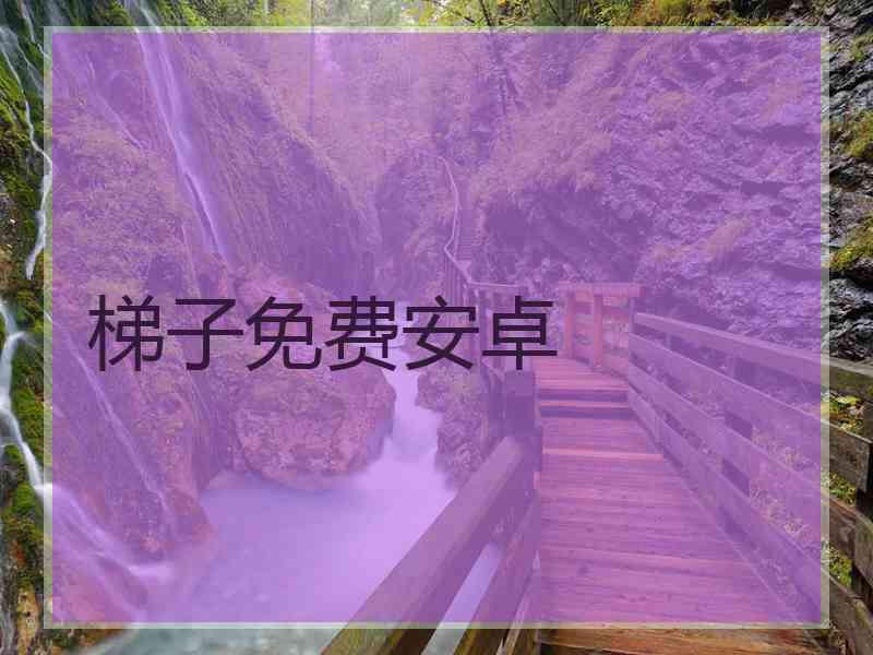 梯子免费安卓