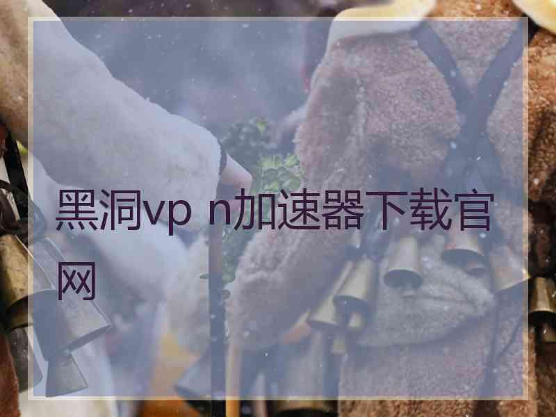 黑洞vp n加速器下载官网